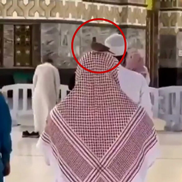 Güvercin Kabe'de namaz kılan kişinin başından ayrılmadı